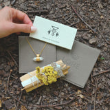 Spirit Of Stillness Ritual Kit